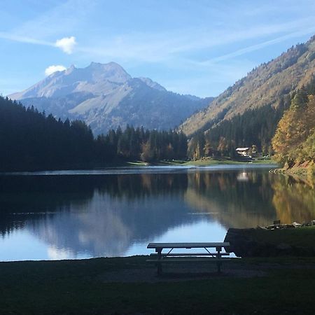 Apartment In Northern Alps With Skiing Nearby Les Gets Eksteriør bilde
