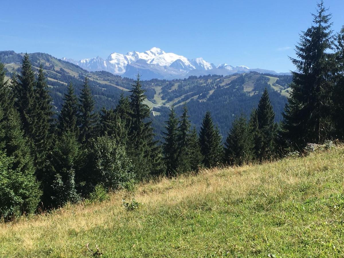 Apartment In Northern Alps With Skiing Nearby Les Gets Eksteriør bilde