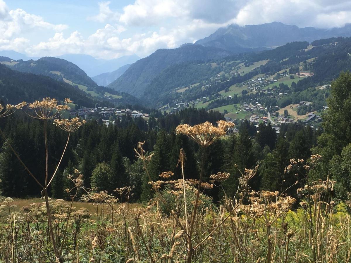 Apartment In Northern Alps With Skiing Nearby Les Gets Eksteriør bilde