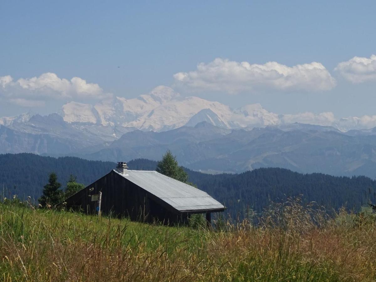Apartment In Northern Alps With Skiing Nearby Les Gets Eksteriør bilde
