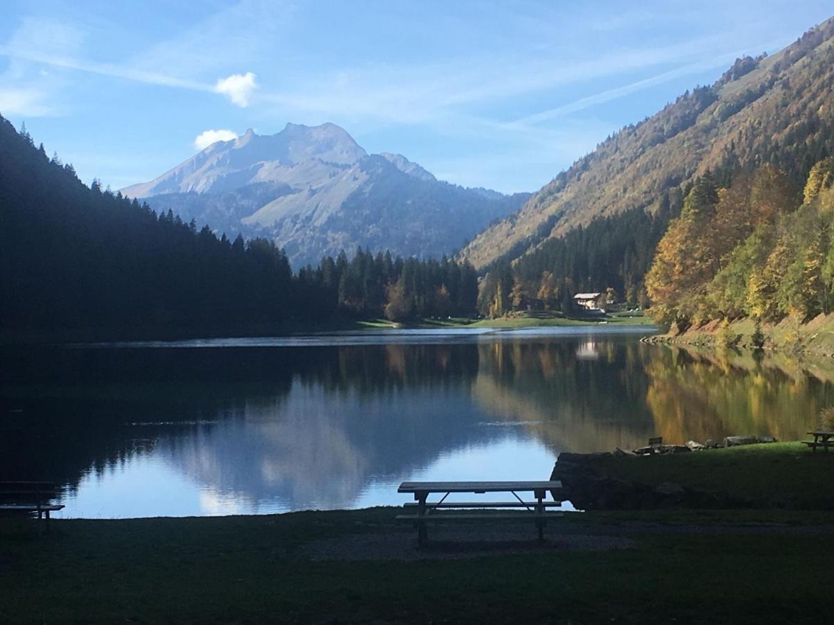 Apartment In Northern Alps With Skiing Nearby Les Gets Eksteriør bilde
