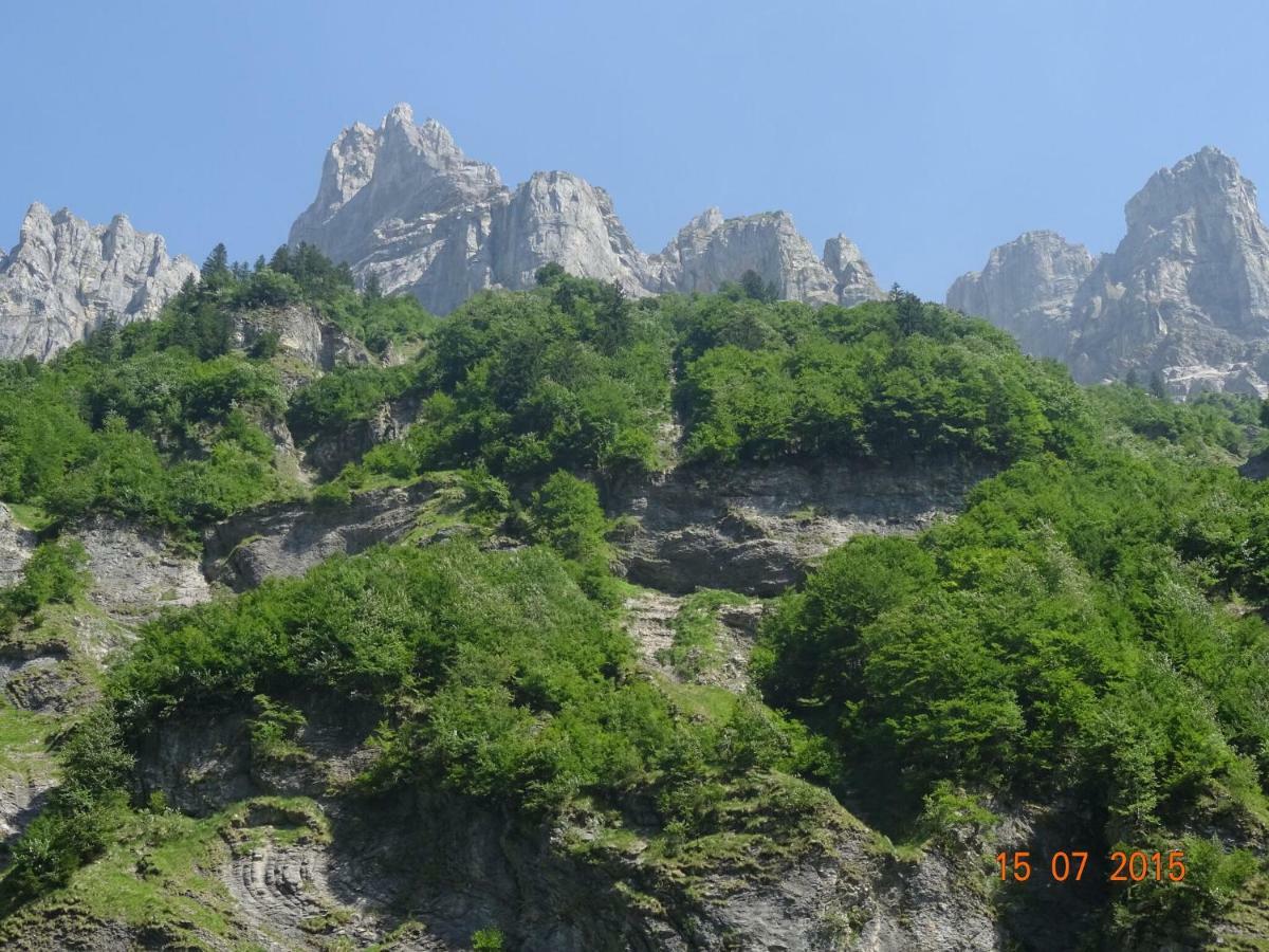 Apartment In Northern Alps With Skiing Nearby Les Gets Eksteriør bilde