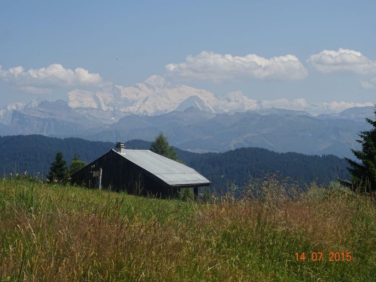 Apartment In Northern Alps With Skiing Nearby Les Gets Eksteriør bilde